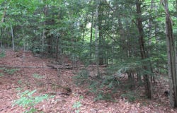 L24 Van Rensselaer Drive, Edinburg, NY 12134