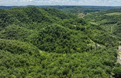Tbd Lick Creek Drive, Fort Blackmore, VA 24250