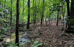 3.52 Ac Payne, Blairsville, GA 30512