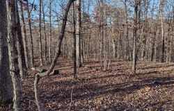 1003 Hidden Valley Lakes, Annapolis, MO 63620
