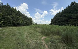 25 Acres Dee Hicks Road, Altoona, AL 35952
