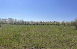 0000 E Lovers Lane, Suttons Bay, MI 49682