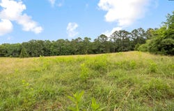 4537 State Hwy 215 South, Jenkinsville, SC 29065-9639