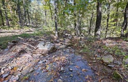 AR 155, Dardanelle, AR 72834