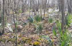 0Barefield Road, Rayville, LA 71269