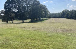 Hwy 13, Mendenhall, MS 39114