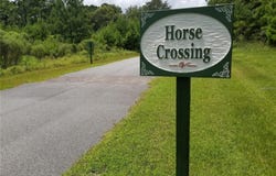 NW 148 Lane, WILLISTON, FL 32696