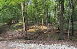 9619 Calgary Drive S, Canadian Lakes, MI 49346