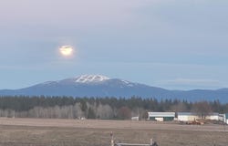 29210 N Spotted Rd, Deer Park, WA 99006