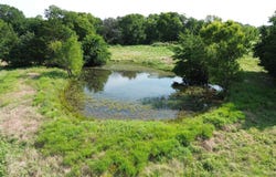 4757 Farm Road 1528, Klondike, TX 75448