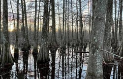 3672 Highway 582 East, Forest, LA 71242