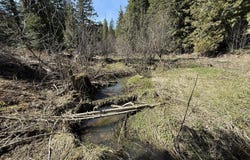 Nka Sanders Rd, St. Maries, ID 83861