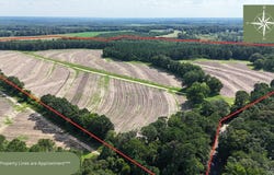 216 County Road 201 Road, Ariton, AL 36010