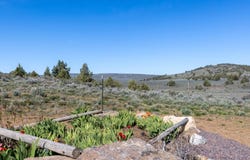 71481 Hines Logging Rd, Hines, OR 97738