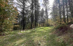 Cougar Rd lot: 230, Lava Hot Springs, ID 83246
