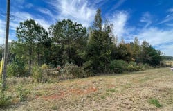 3 HIGHWAY 43, NORTHPORT, AL 35475