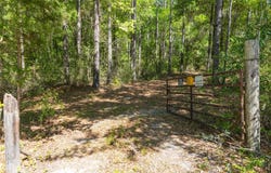 165+/- Acres Harrison Rd, Kinston, AL 36453