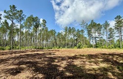2975 MS-393, Louisville, MS 39339