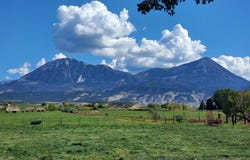 37366 Bone Mesa Rd., Paonia, CO 81428