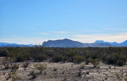 4906 Lowery-Key Rd, Terlingua, TX 79852