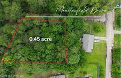 Meadowfield Drive, Gautier, MS 39553