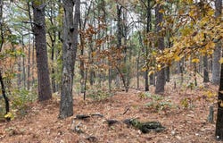 Unit 156 Horsehead Mountain Road, Moyers, OK 74557
