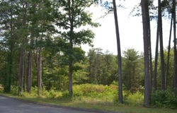 0 Countryside Drive, Dunlap, TN 37327