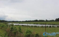 4000 County Road 400, Grove Oak, AL 35975