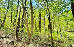 2580 Honeysuckle Road, BETHLEHEM, PA 18015