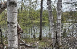 Iroquois Trail lot: 253, Gaylord, MI 49735