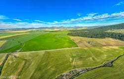 783 Lot D Old Mills Rd, Desmet, ID 83824