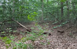3515 CLAYTON ROAD, JOPPA, MD 21085