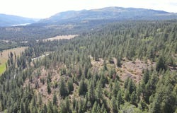 1 TBD MITCHELL RD, NORTHPORT, WA 99157