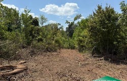 0 Hwy 151, Downsville, LA 71234