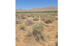 426-390-20 Rankin, Weldon, CA 93283