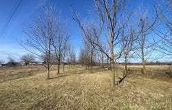 3505 SE 1379 Rd, Weaubleau, MO 65774