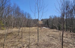 TBD E 10 Acres Prospect, Bessemer, MI 49911