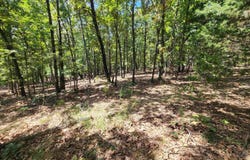 L101-103, B-3 Lightning Circle, Highland, AR 72542