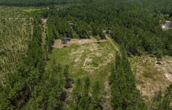 8822 Naturewalk Drive, Jay, FL 32565