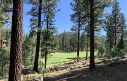 2066 Grizzly Ranch Road lot: 229, Portola, CA 96122