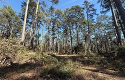 Lot 4 Private Road 8573, Winnsboro, TX 75494