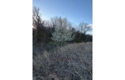 7701  Peebly Rd, Newalla, OK 74857