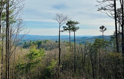 Lot 73 Mountain View Road, Ellijay, GA 30540
