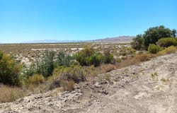 APN 007-091-71 Canal Rd., Fallon, NV 89406