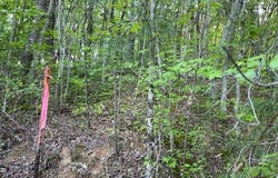 3717 Hwy 830, Gray, KY 40734