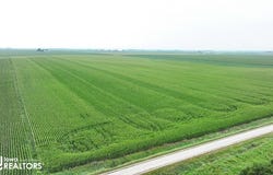 28378 S Wells, Conrad, IA 50621