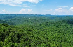 0 Hickory Hill Circle, Duff, TN 37729