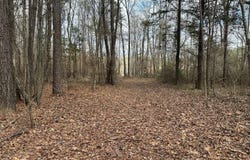 23 Acres Barnes Road, Florence, MS 39073