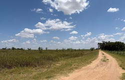 State Highway 203, Wellington, TX 79095