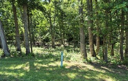 Lot 28 Forest Lake Subdivision, Wright City, MO 63390